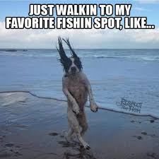 Funny Fishing Memes Part 8 Respect The Fish Funny Animals Funny Dog Pictures Dog Photos