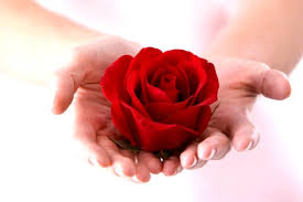 Resultado de imagen para ROSAS ROJAS BELLAS