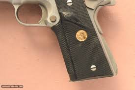 Image result for Grace Silver 1989 Colt