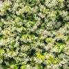 Conroy's flowers bakersfield ca locations, hours, phone number, map and driving directions. Https Encrypted Tbn0 Gstatic Com Images Q Tbn And9gcrxjj68wuyi7cmfcvce8c3th0nbvx6qipsjtsvsm2h Augctezh Usqp Cau