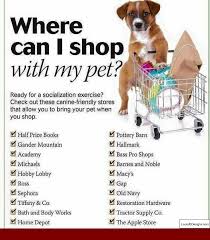 How To Train A Dog To Stay Out Of The Litter Box And Pics Of How To Get A Puppy To Stop Barking And Biting Tip 8 Pets Dog Training Obedience