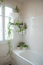 50 Best Bathroom Design Ideas Apartment Therapy Remodeling Bathroomdesignideasmaster Beautiful Bathrooms Amazing Bathrooms Bathroom Plants