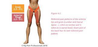 It can be embarrassing and even detract partners apart from having a social impact when it is very prominent. Groin Pain Structures And Conditions That Can Contribute To Groin Pain