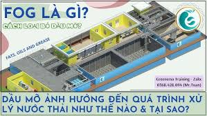 PHẦN 2: FOG (FAT, OIL & GREASE) LÀ GÌ? DẦU MỠ TÁC ĐỘNG ĐẾN XLNT RA SAO?  LOẠI BỎ | GREENERSO #26