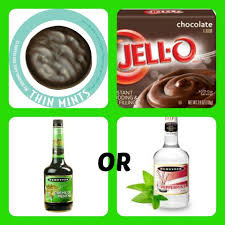Birthday Cake Pudding Shots No Cool Whip Thin Mint Pudding Shots 1 Small Pkg Chocolate Pudding Instant Not The Cooking Kind Cup Milk 3 4 Cup Creme De Menthe Pudding Shots Schnapps Thin Mints