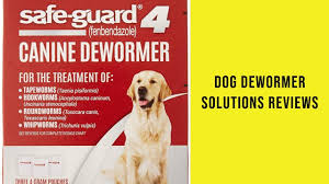 Dog Dewormer Solutions Reviews Dog Dewormer Solutions To