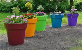 Résultat de recherche d'images pour "jardins deco fleurs"