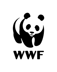 Brands Logos Wwf Imagenes De Simbolos Disenos De Unas Logotipo Animal