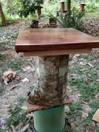 Jual bibit klanceng atau kelulut di bambu murah !! Others For Sale In Malaysia Mudah My Mobile