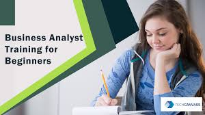 Techcanvass Business Analyst Training For Beginners What Is Business Analysis Facebook