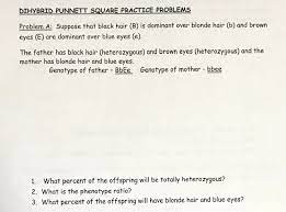 · determine the parent gene types. Solved Dihybrid Punnett Square Practice Problems Problem Chegg Com