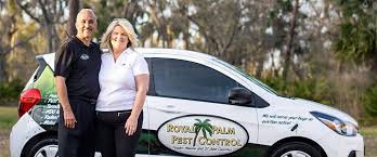 Bay area lawn & pest control are experts in lawn spraying and irrigation repair and we know what it takes to keep your st. Royal Palm Pest Control