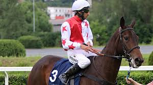 Přesto až nyní odhalí skryté tajemství svého dědečka, který byl lékařem v době protektorátu. Ke Konim Jsem Se Vratil Diky Vocaskovym Rika Kardiochirurg Jan Pirk Jezdci Cz