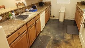 mold remediation chandler, az condo