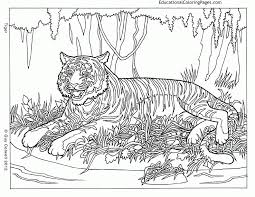 Download Or Print This Amazing Coloring Page Colouring Page Animal Coloring Pages Cool Coloring Pages Cat Coloring Page