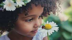 Free Child Holds Daisy Image