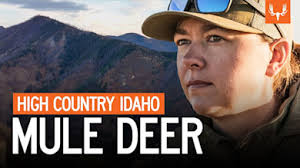 Mule Deer Videos