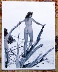 1965 ORIGINAL VINTAGE NUDE PHOTO by JACK KERNS of a YOUNG NUDIST WOMAN  Artistically Posed in Nature by Jack Kerns: (1965) 1st Edition  Manuscript  Paper Collectible | Blank Verso Books