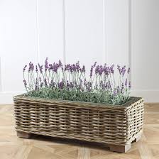 A front door's best friends. Rattan Trough Planter Fantastic Range Of Quality Garden Planters Uk Marquis Dawe