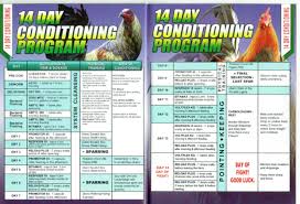 14 Day Conditioning Program Excellence Poultry Livestock