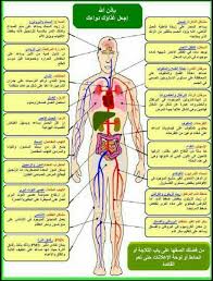 Pin By Zani Ada On Coran Islam Health Facts Health Facts Food Health Facts Fitness