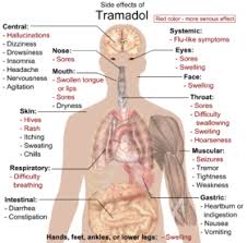 Tramadol Wikipedia