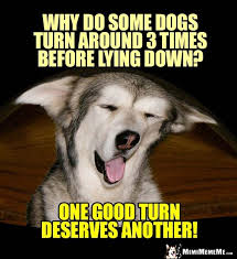 Dog Humor Why Do Some Dogs Turn Around 3 Times Before Lying Down One Good Turn Deserves Another Dog Jokes Funny Dog Jokes Funny Dogs