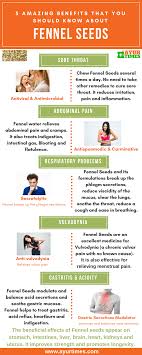 Fennel seeds are also known to contain natural plant hormones. Fennel Seeds Saunf Benefits For Abdomen Pain Sore Throat