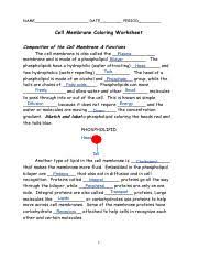 Functional beautiful cell membrane coloring worksheet answers. Cell Membrane Coloring Sheet 28knowledge 29 Name Date Period Cell Membrane Coloring Worksheet Composition Of The Cell Membrane Functions The Cell Course Hero