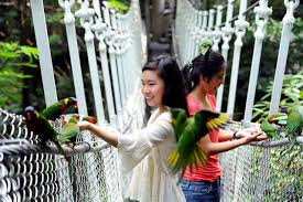 Enter your dates and choose from 462 hotels and other places to stay. Jurong Bird Park In Singapore Pass L Iventure Card