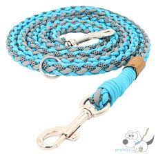 Biothaneleinen sind sehr pflegeleicht und lassen sich ganz einfach selber machen. Originelli Hundeleine Paracordhundeleine Originelli Handmade Paracord Handarbeit Paracordleine Flechten Hundeleine Hundeprodukte Paracord Hundeleine