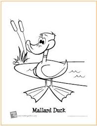 Mallard Duck Free Printable Coloring Page Animal Coloring Pages Coloring Pages Free Coloring Pages