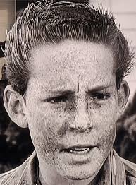 How and why did Beaver Cleaver get the nickname Beaver?