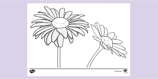 On november 8, 2019 by coloring.rocks! Free Daisy Colouring Colouring Sheets Teacher Made