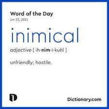 A foolish person | meaning, pronunciation, translations and examples Mutahira Moqueet Juvenile Damsel Profile Pinterest