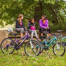 Huffy Women S Highland 24 Mountain Bike Purple Huffy Bicycle Frame Size Women
