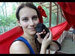 Cute orhpan monkeys fall asleep