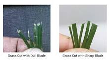 Selecting the Right Mower Blade