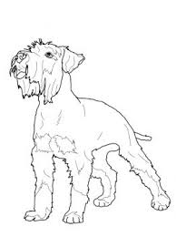 Miniature Schnauzer Coloring Page Super Coloring Dog Coloring Page Animal Coloring Pages Coloring Pages