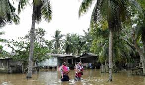 The 2019 season is terengganu's second season in the malaysia super league since the rebranding in 2017. Marang Masih Banjir