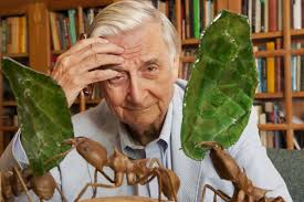 Who Is E.O. Wilson? 'Darwin's Natural Heir,' Renowned Biologist Dies at 92 
