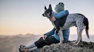 Losing a beloved pet can be extremely painful. Grieving The Loss Of A Pet Personal And Health Impact Coping And Self Care When Your Beloved Pet Dies By Brynna Connor Md