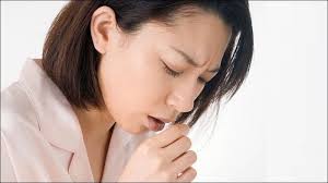 Rau diếp cá có tác dụng gì? 17 lợi ích và lưu ý khi sử dụng diếp cá