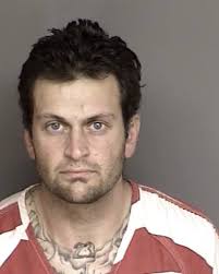 Investigating crimes...