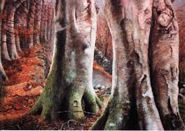 Ruslandhall is ranked 3,960,199 in the united kingdom. Rusland Hall Wikipedia