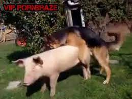 We did not find results for: Dog Fuck Pig Hd Porn Porn Tubes Video Sex Pornbraze Com