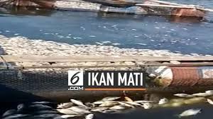 Contoh, saguling, cirata dan jatiluhur,. Berita Waduk Saguling Hari Ini Kabar Terbaru Terkini Liputan6 Com