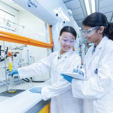 化学| 香港科大本科招生