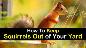 Alliums, or garlic and onions, can be grown as a flower. 17 Incredibly Easy Ways To Keep Squirrels Out Of Your Yard