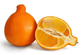 Photos 10 Fantastical Hybrid Fruits Worth Knowing Fruit Tangerines Fruit Citrus Fruit